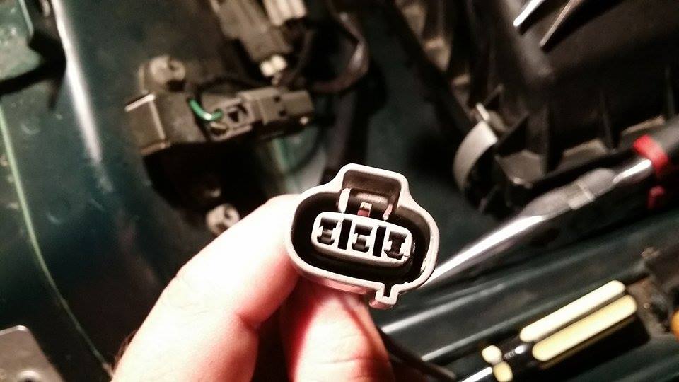 11051379 10152819475455369 605642563 N