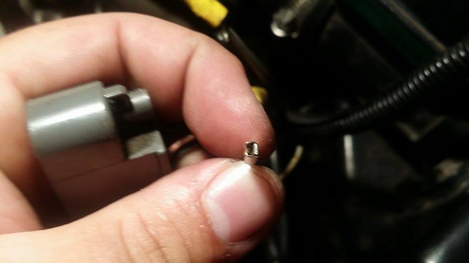 11006095 10152819475580369 334455898 N