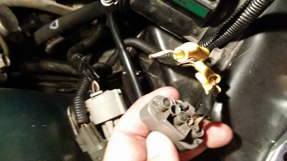 11026580 10152819475405369 370779531 N