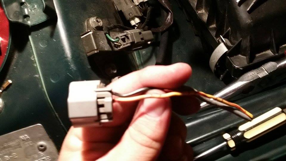 11051357 10152819475430369 1009245049 N