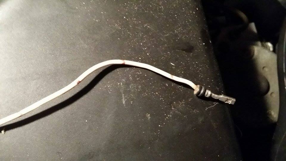 11047267 10152819475490369 139517765 N