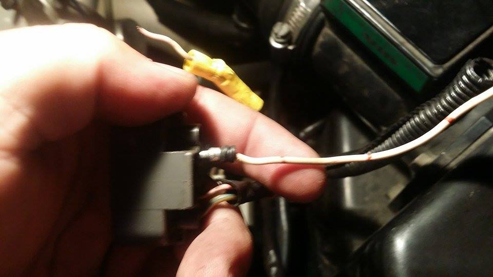 961804 10152819475545369 853310640 N