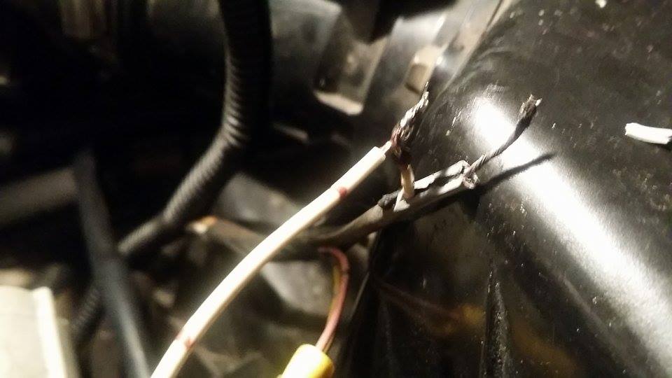 11041414 10152819475680369 1687282928 N