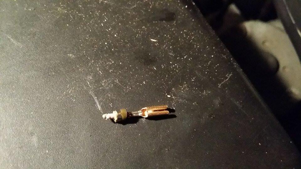 11057005 10152819475525369 418342433 N