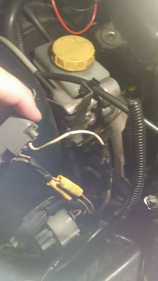 11047252 10152819475755369 878051366 N