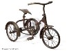 tricycle's Photo